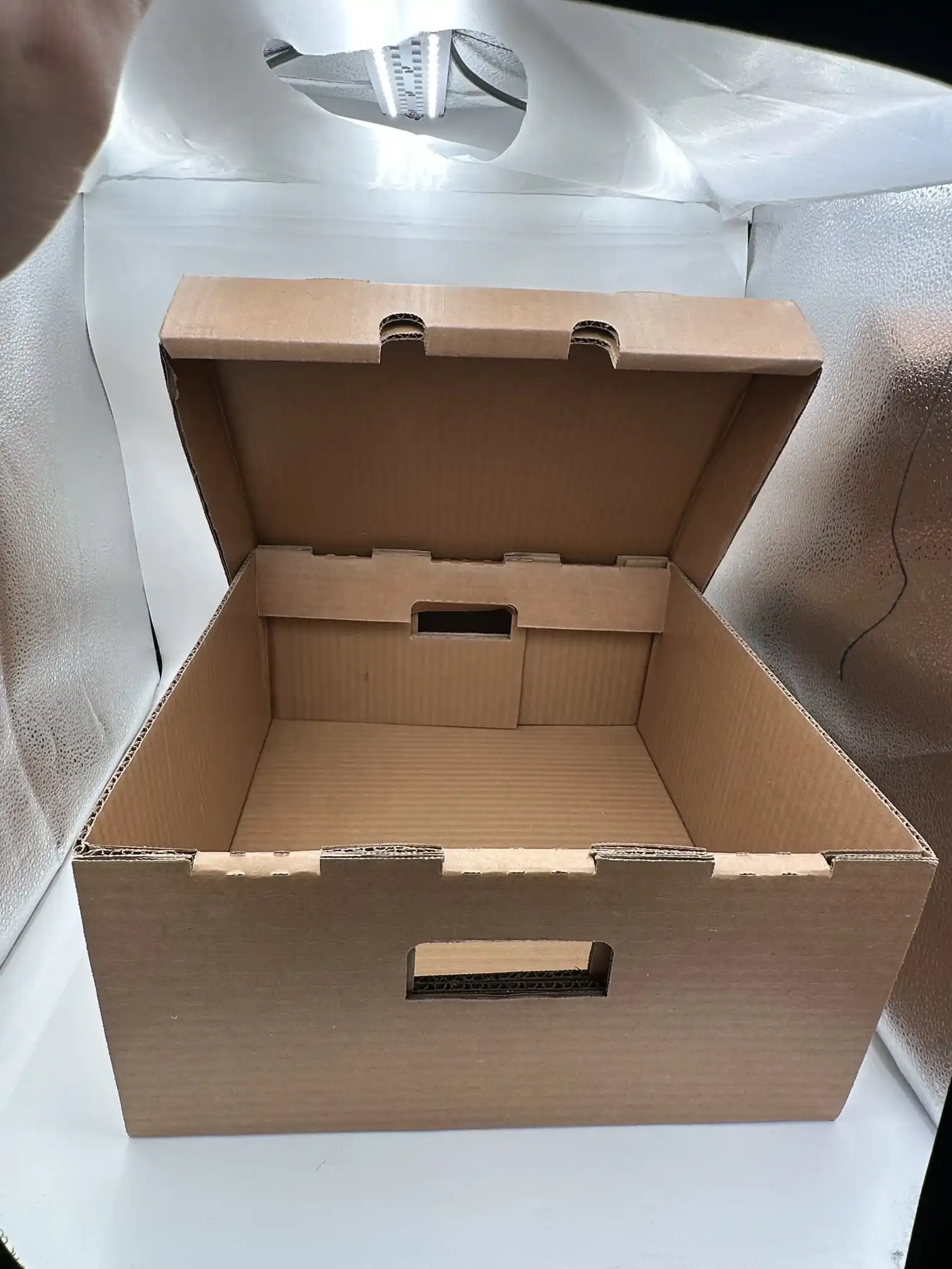 Caja grande de cartón corrugado encerado